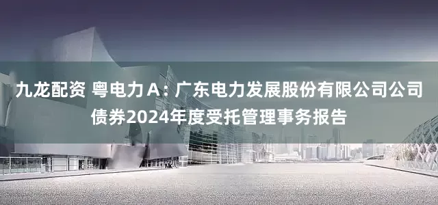 九龙配资 粤电力Ａ: 广东电力发展股份有限公司公司债券2024年度受托管理事务报告